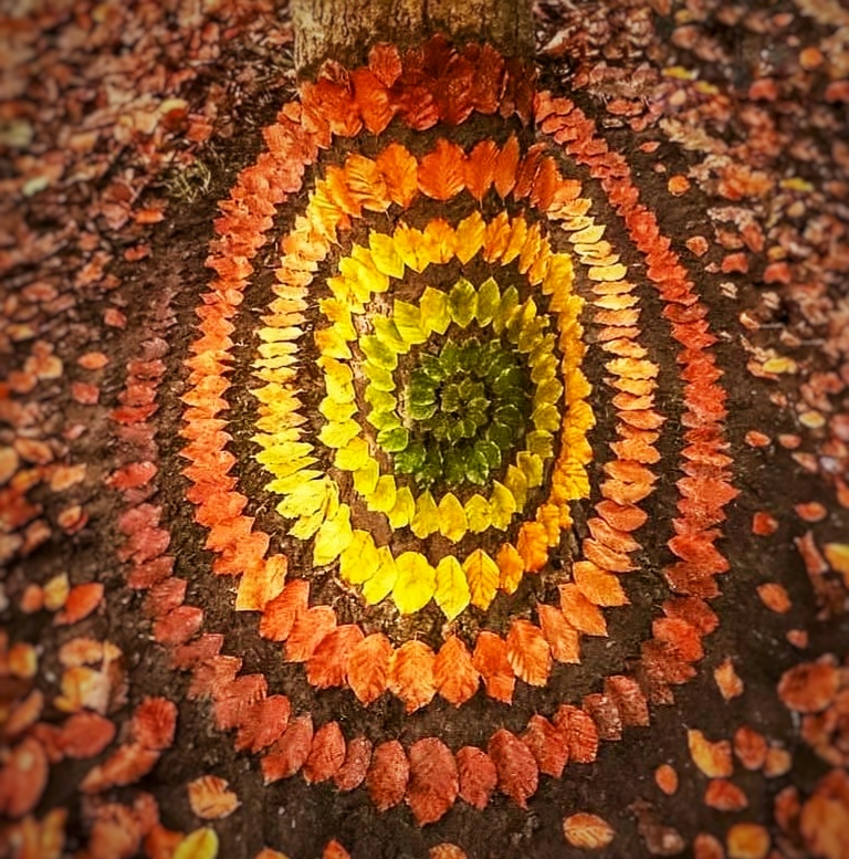 Die Kunst, das Leben geschehen zu lassen